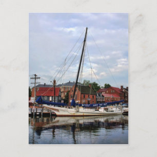 A Sailboat in Annapolis Harbor Postcard