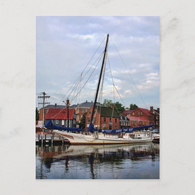 A Sailboat in Annapolis Harbor Postcard (Front)