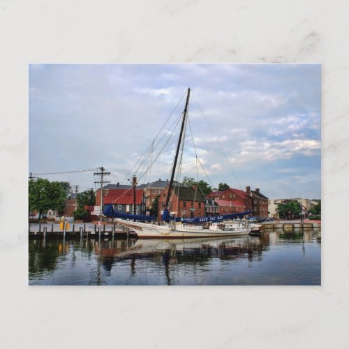 A Sailboat in Annapolis Harbor Postcard