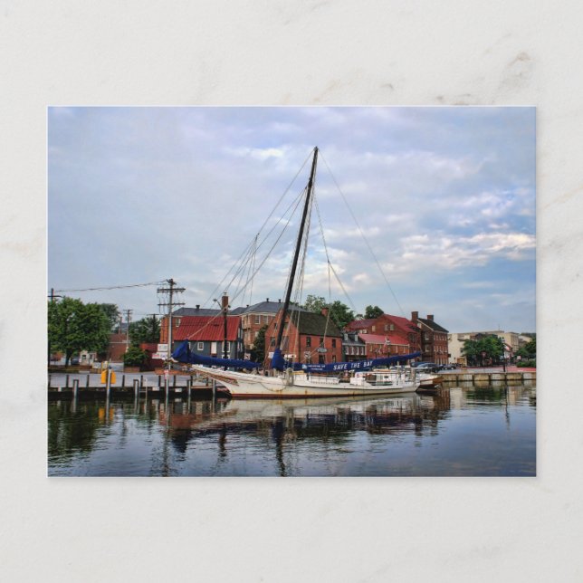 A Sailboat in Annapolis Harbor Postcard (Front)