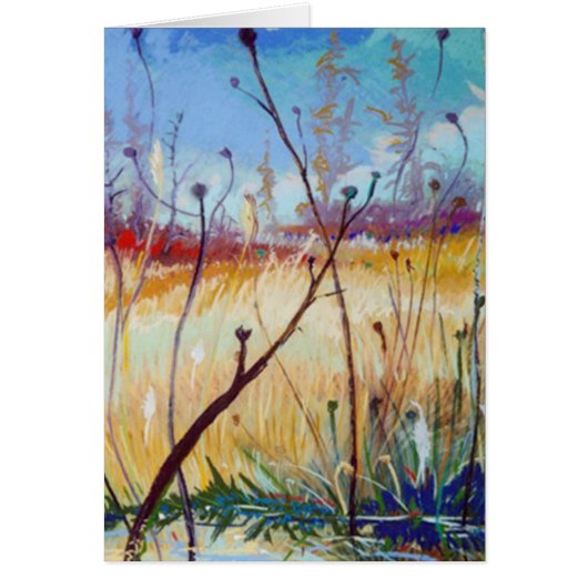 A Salt Marsh Cards (Front)