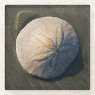 A Sand Dollar On The Beach Glass Coaster