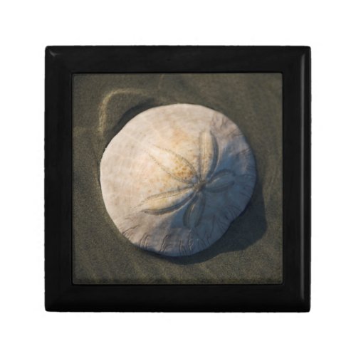 A Sand Dollar On The Beach Keepsake Box