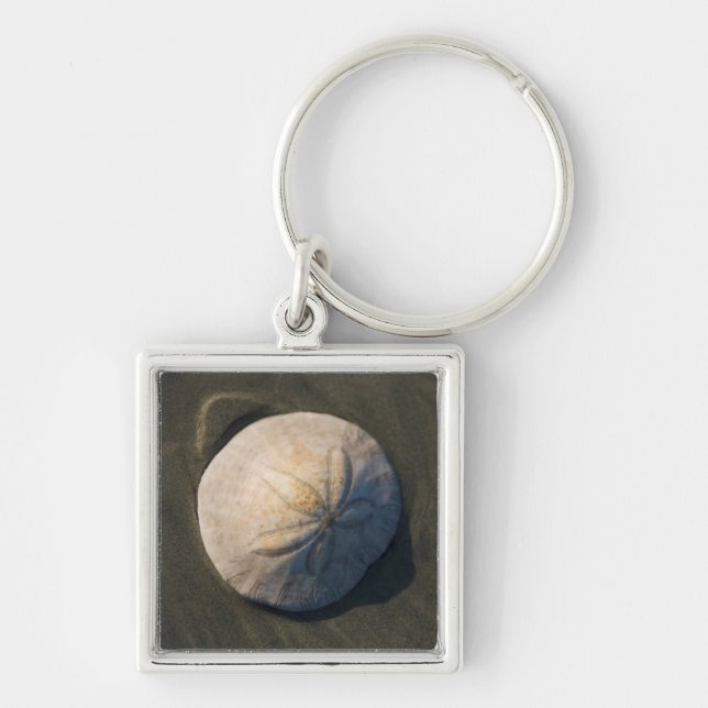 A Sand Dollar On The Beach Keychain (Front)