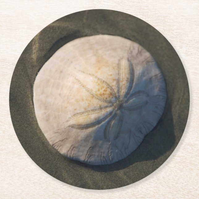 A Sand Dollar On The Beach Round Paper Coaster (Front)