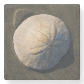 A Sand Dollar On The Beach Stone Coaster