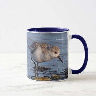 A Sanderling Forages on the Shore Mug