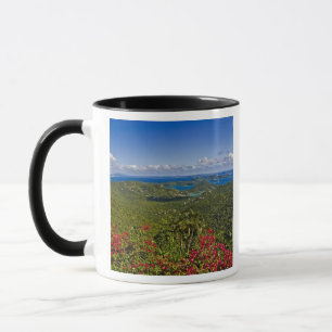 A scenic of Cruse Bay, St. John U.S Virgin Mug