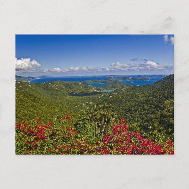A scenic of Cruse Bay, St. John U.S Virgin Postcard (Front)