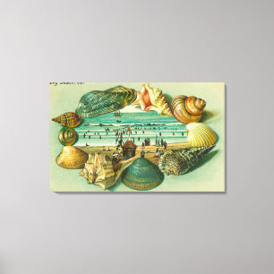 A Scenic View Bordered with Sea Shells Canvas Print