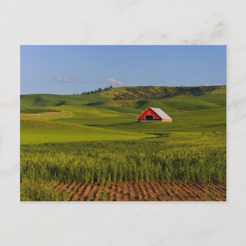 A scenic view of a barn in Moscow Idaho Postcard