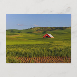 A scenic view of a barn in Moscow Idaho. Postcard