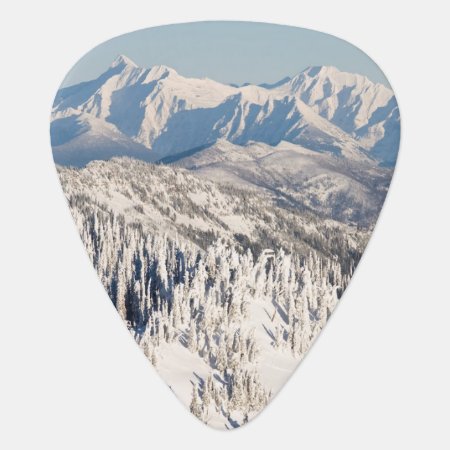A Scenic View Of Snowy Mountains And Trees. Guitar Pick