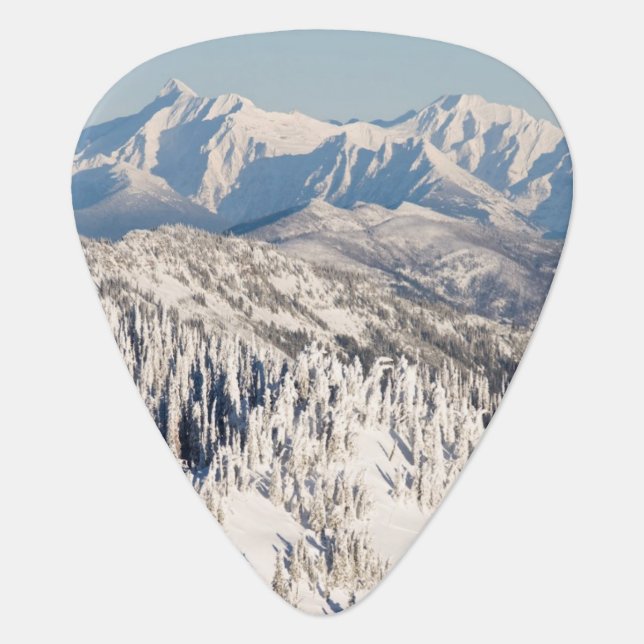 A Scenic View of Snowy Mountains and Trees. Guitar Pick (Front)