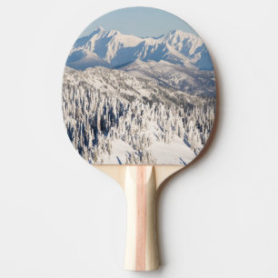 A Scenic View of Snowy Mountains and Trees. Ping-Pong Paddle