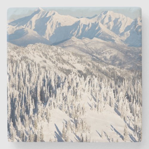 A Scenic View of Snowy Mountains and Trees Stone Coaster