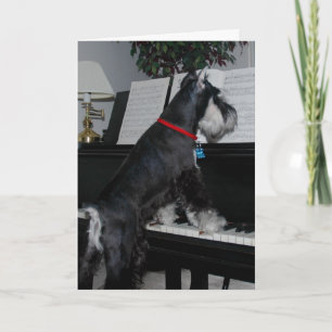 A Schnauzer at the piano Card