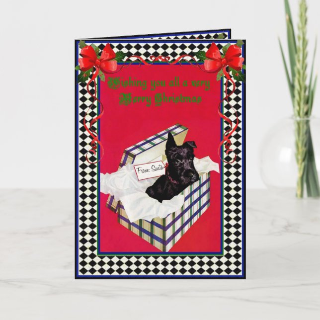 A Schnauzer Christmas Holiday Card (Front)