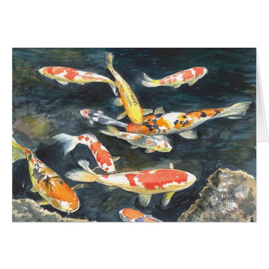 A school of Koi fish in a pond Cards (Front Horizontal)
