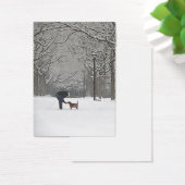 a scoop of snow (Desk)