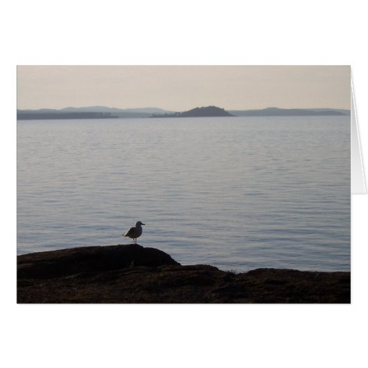 A Seagull Dreams Cards (Front Horizontal)