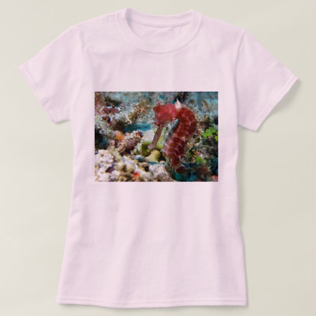 A Seahorse's Garden T-Shirt (Design Front)