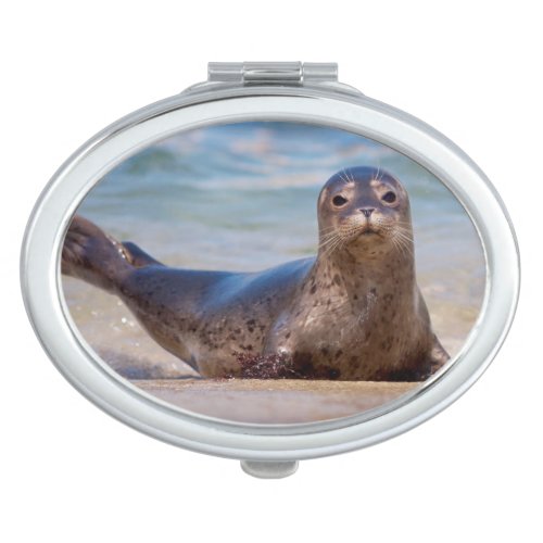 A seal on a beach along the Pacific Coast Compact Mirror