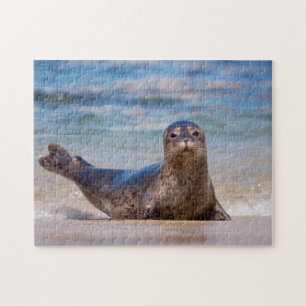 A seal on a beach along the Pacific Coast Jigsaw Puzzle