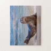 A seal on a beach along the Pacific Coast Jigsaw Puzzle | Zazzle