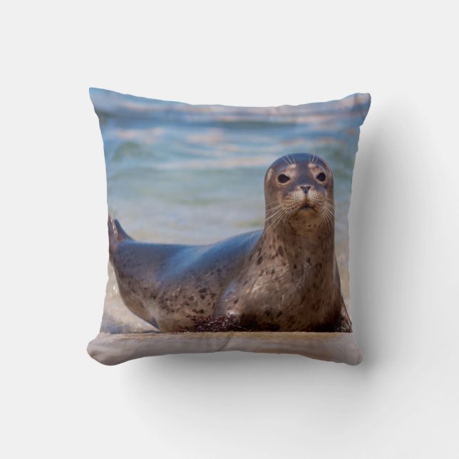 A seal on a beach along the Pacific Coast Throw Pillow (Front)