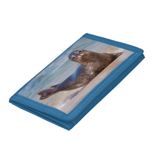 A seal on a beach along the Pacific Coast Trifold Wallet