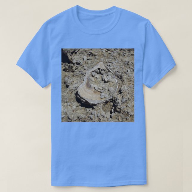 A seashell and foraminifera fossils in sandstone 1 T-Shirt (Design Front)