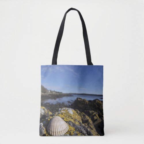 A Seashell Sits On A Rock  Dumfries Scotland Tote Bag