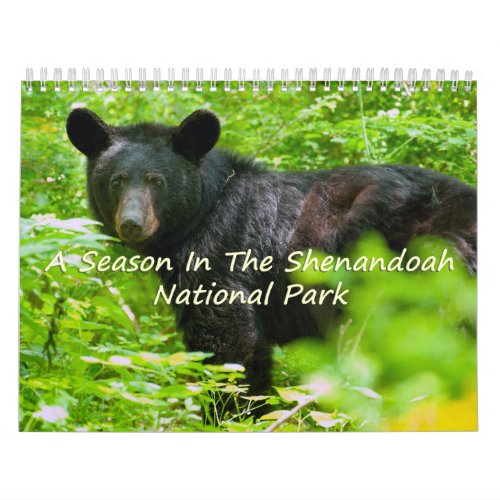 A Season In Shenandoah Nat Park Raven Version Calendar