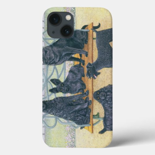 A seat in the park iPhone 13 case