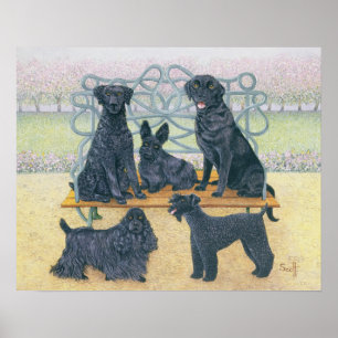 A seat in the park poster