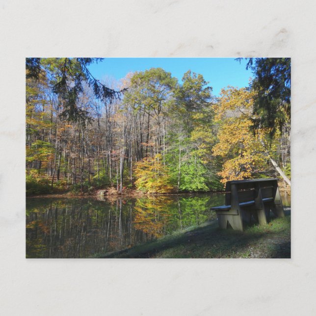 A Seat with an Autumn View in Pennsylvania Postcard (Front)