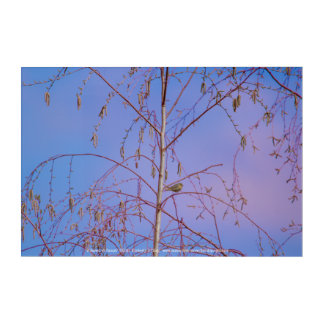 A Secret at Sunset Acrylic Print