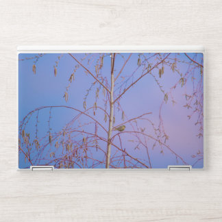 A Secret at Sunset HP Laptop Skin