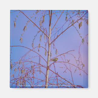 A Secret at Sunset Magnet