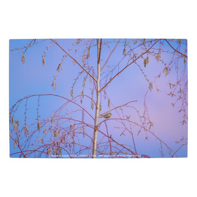 A Secret at Sunset Metal Print (Front)