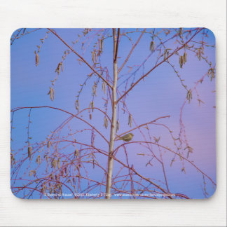 A Secret at Sunset Mouse Pad