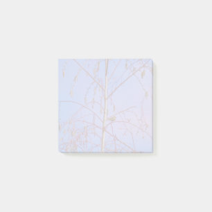 A Secret at Sunset Post-it Notes