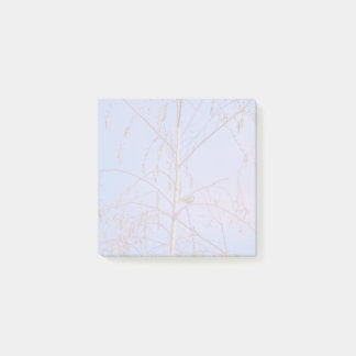 A Secret at Sunset Post-it Notes
