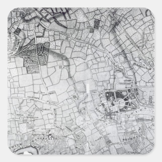 A section of a sheet from the survey square sticker (Front)