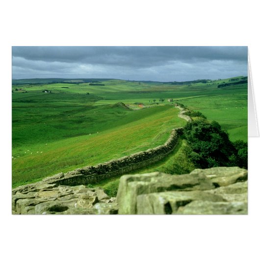 A section of Hadrian's Wall, 2nd century AD (stone Cards (Front Horizontal)