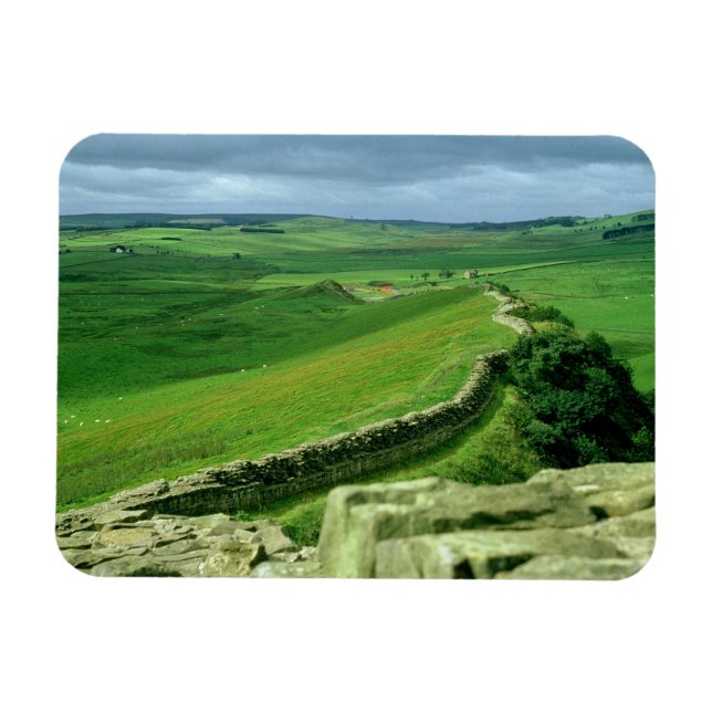 A section of Hadrian's Wall, 2nd century AD (stone Magnet (Horizontal)