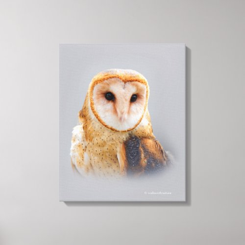 A Serene and Beautiful Barn Owl Canvas Print