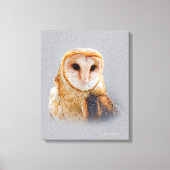 A Serene and Beautiful Barn Owl Canvas Print (Front)