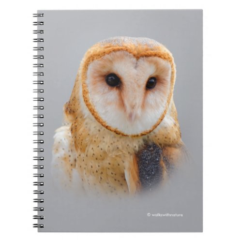 A Serene and Beautiful Barn Owl Notebook